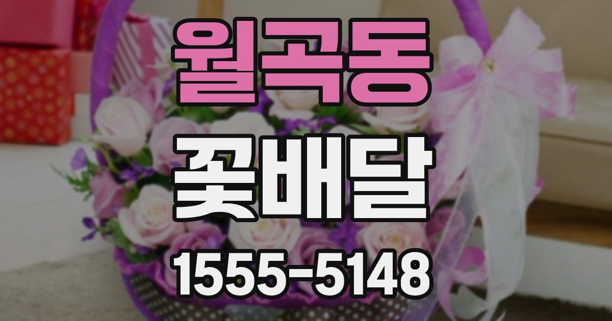 월곡동 꽃배달
