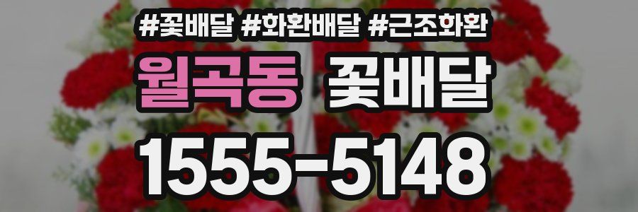월곡동 꽃배달