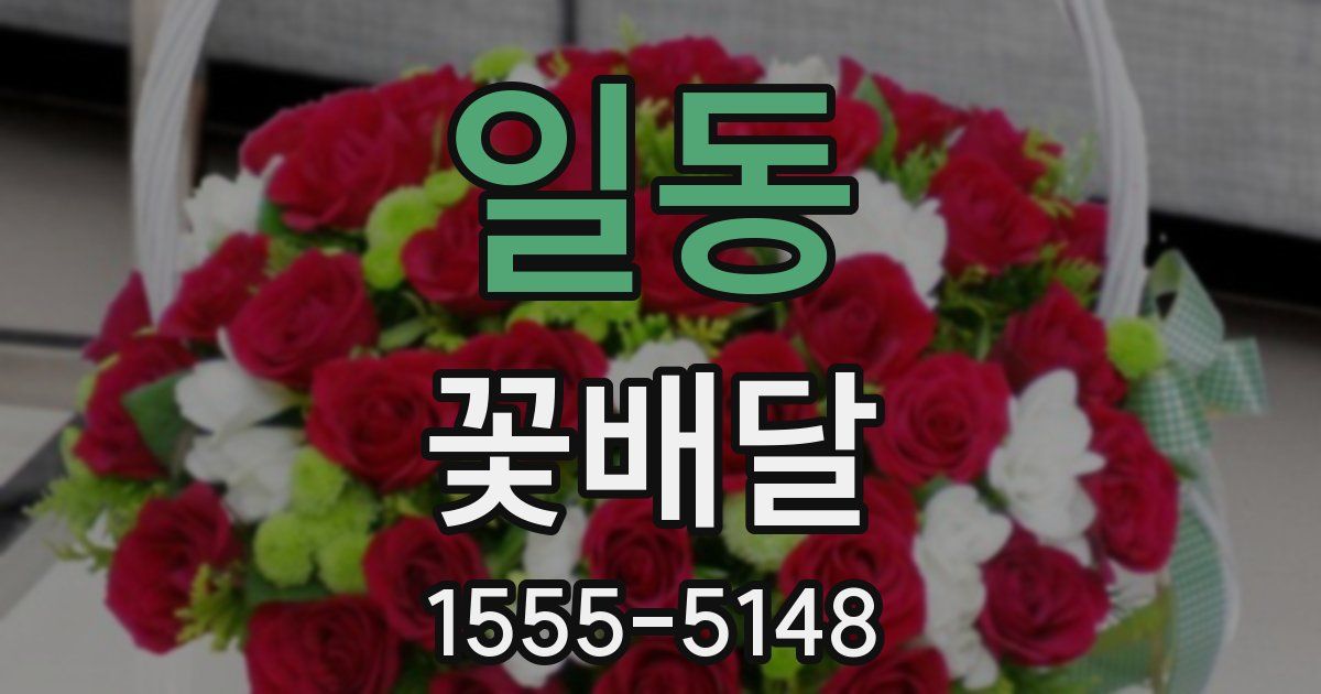 일동 꽃배달
