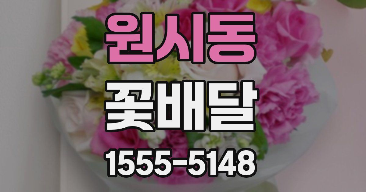 원시동 꽃배달