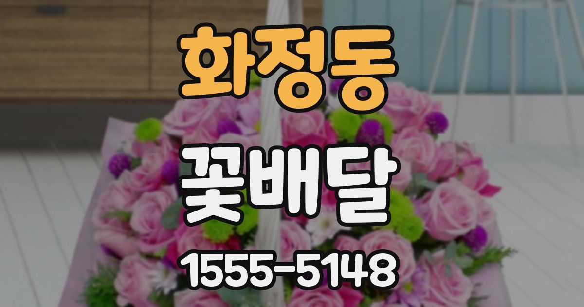 화정동 꽃배달