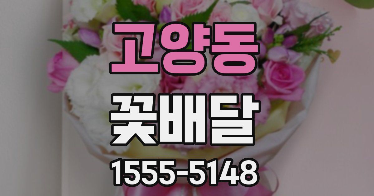 고양동 꽃배달