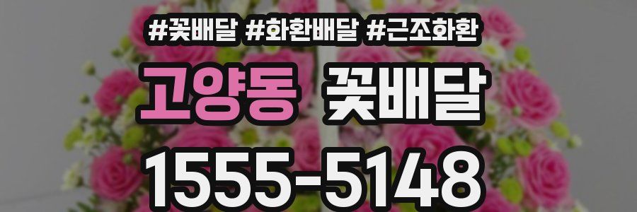 고양동 꽃배달