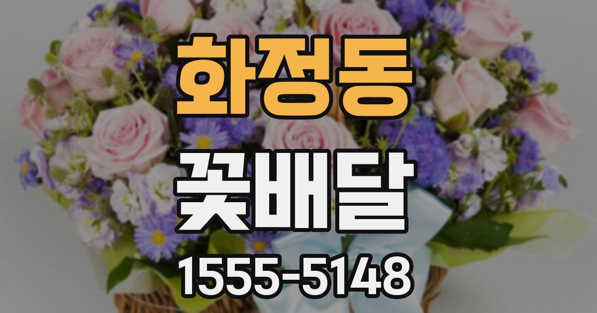 화정동 꽃배달