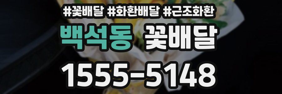 백석동 꽃배달