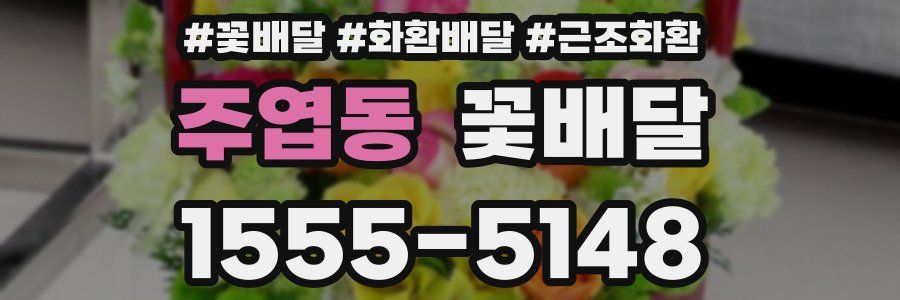 주엽동 꽃배달