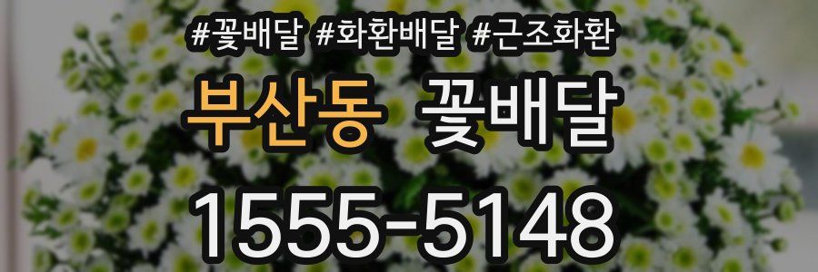 부산동 꽃배달