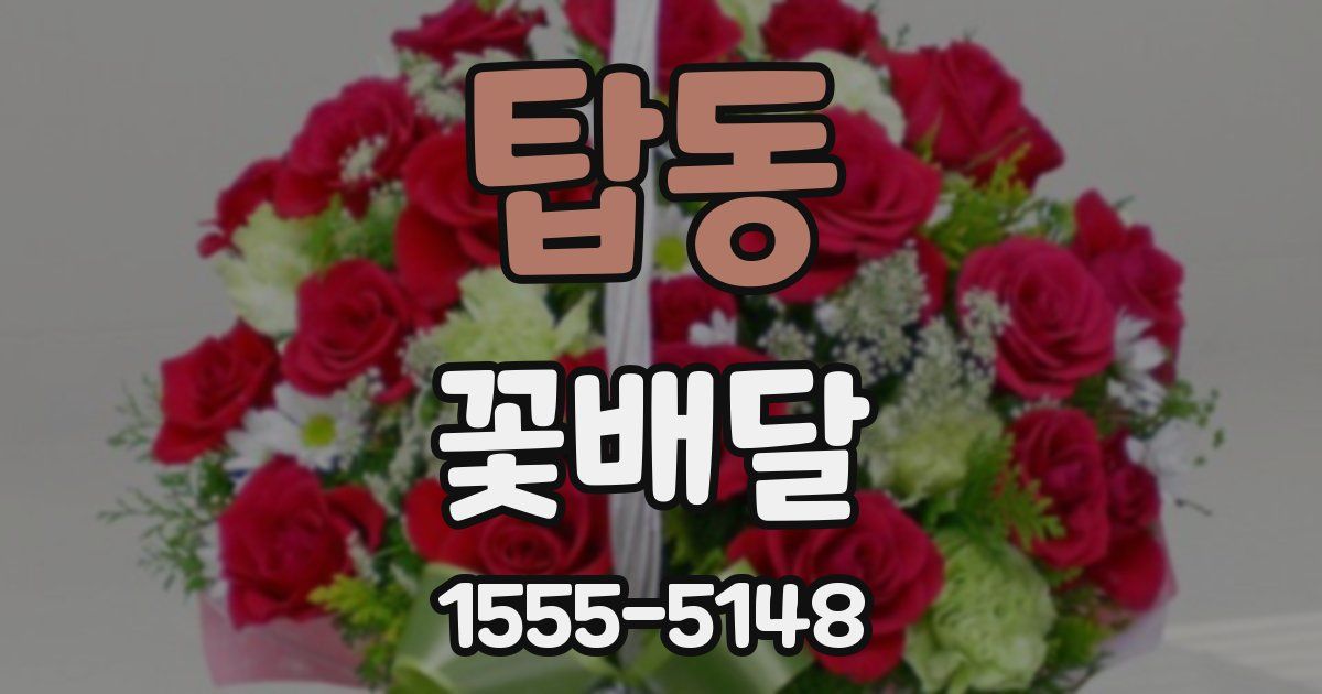 탑동 꽃배달