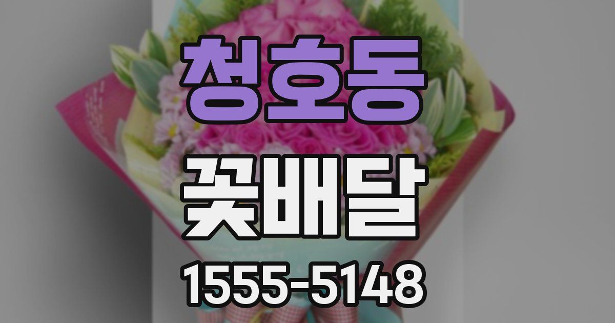 청호동 꽃배달