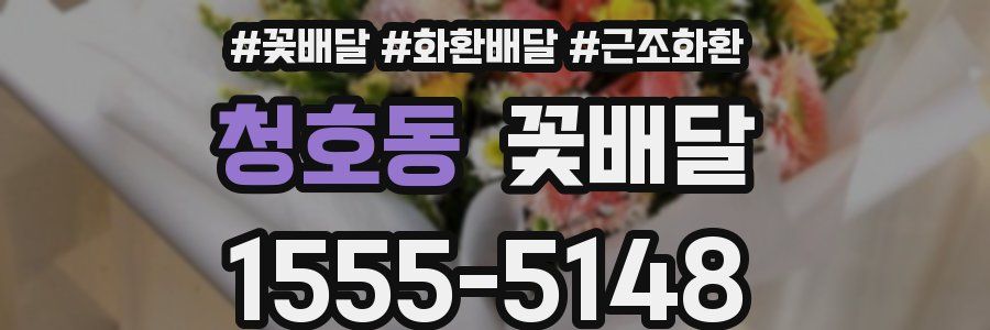 청호동 꽃배달