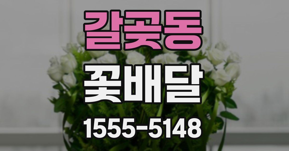 갈곶동 꽃배달