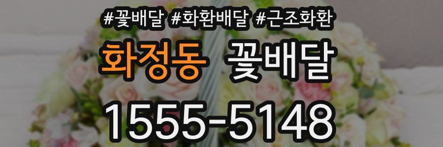 화정동 꽃배달