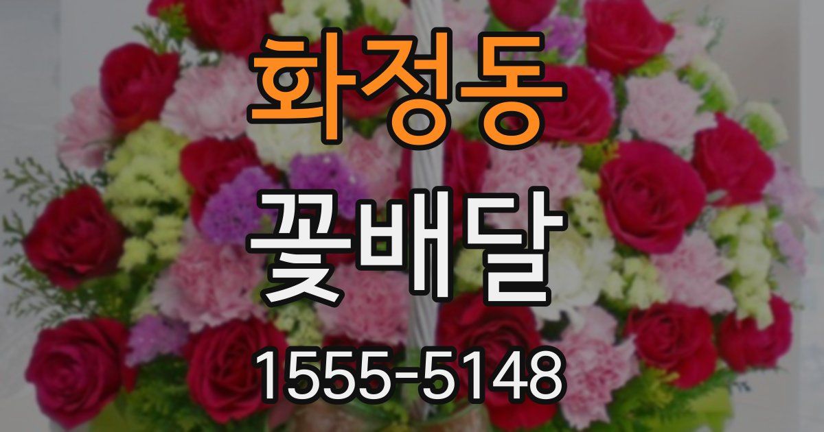 화정동 꽃배달