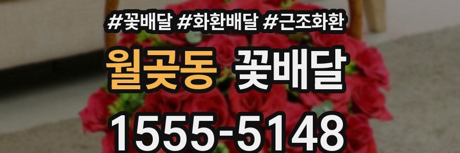월곶동 꽃배달