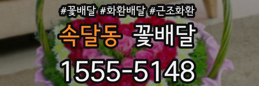 속달동 꽃배달