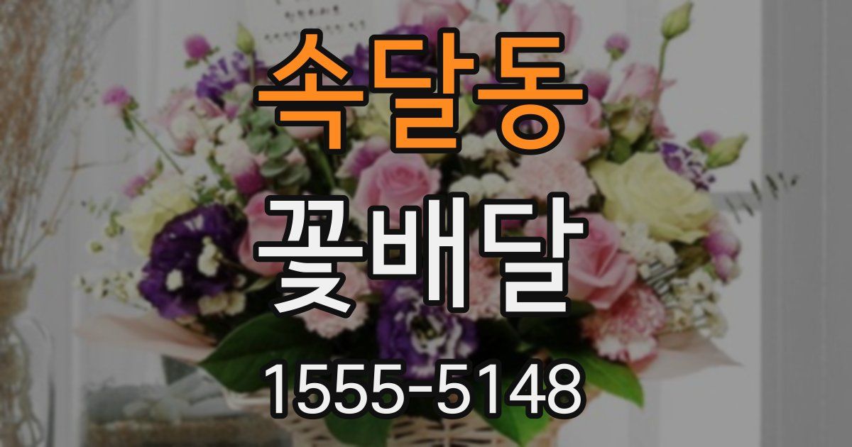 속달동 꽃배달