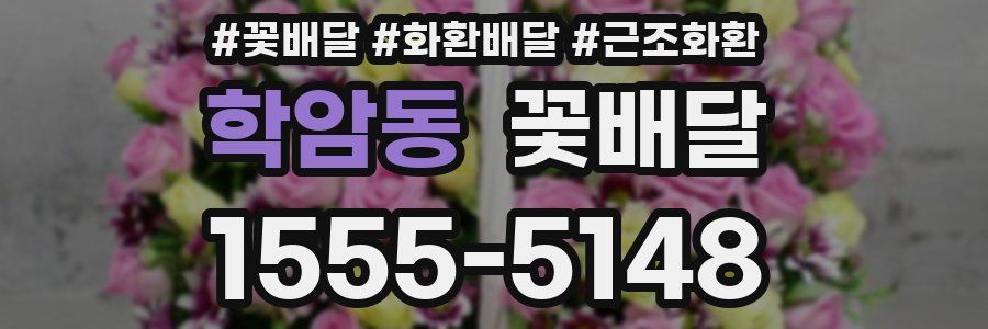 학암동 꽃배달