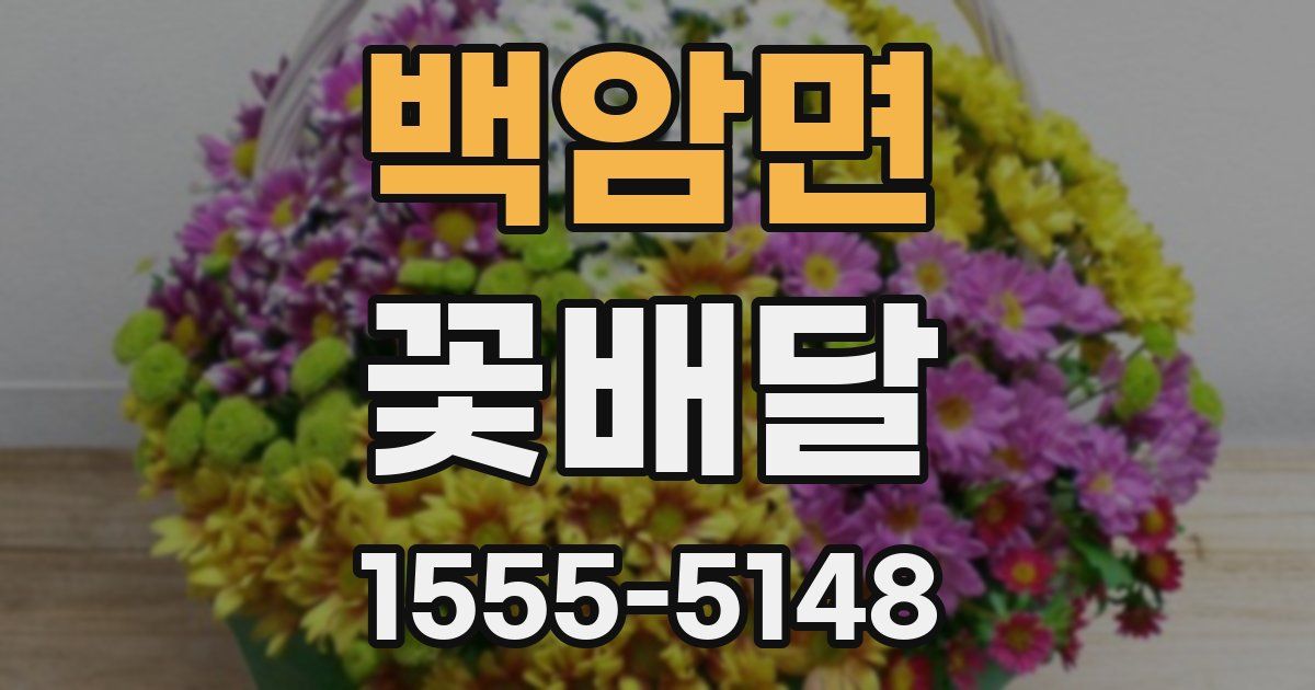 백암면 꽃배달