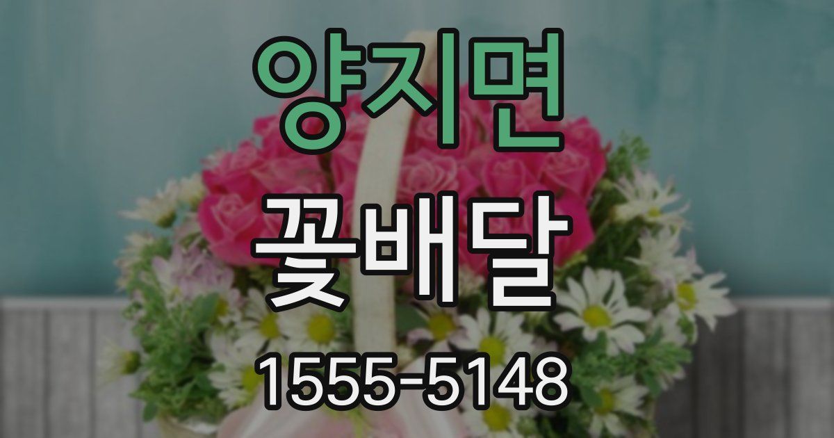 양지면 꽃배달