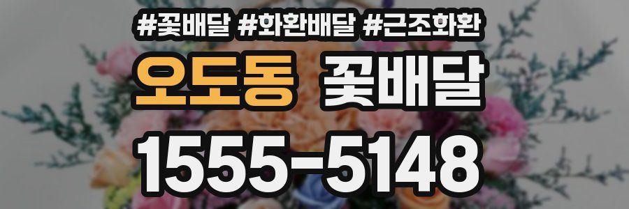 오도동 꽃배달