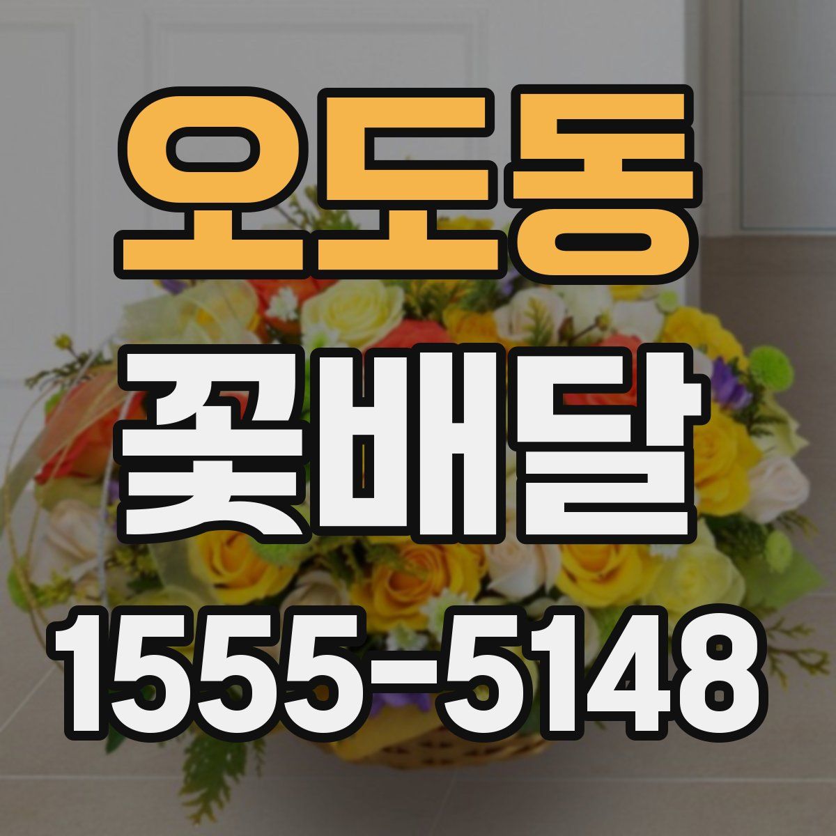 오도동 꽃배달