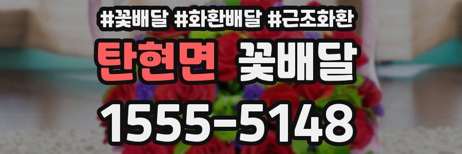 탄현면 꽃배달