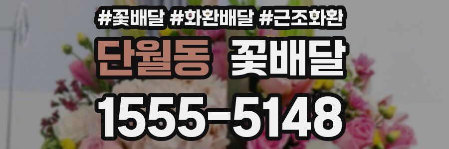 단월동 꽃배달