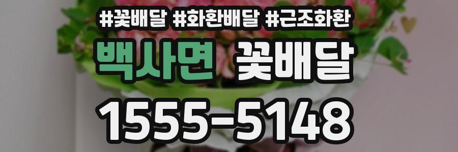 백사면 꽃배달