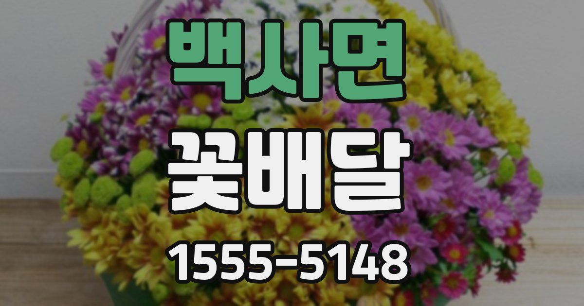 백사면 꽃배달
