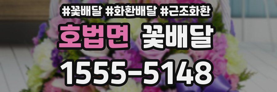 호법면 꽃배달
