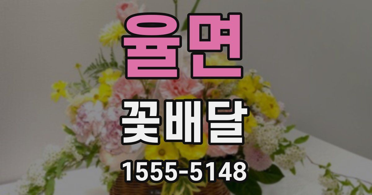 율면 꽃배달