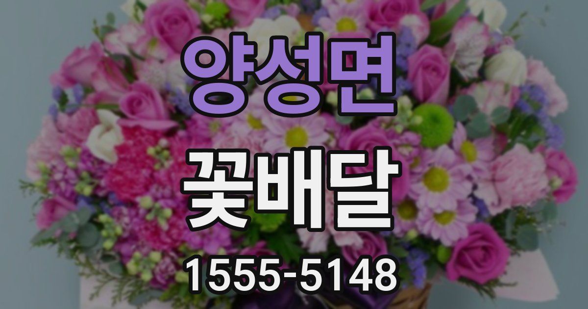 양성면 꽃배달