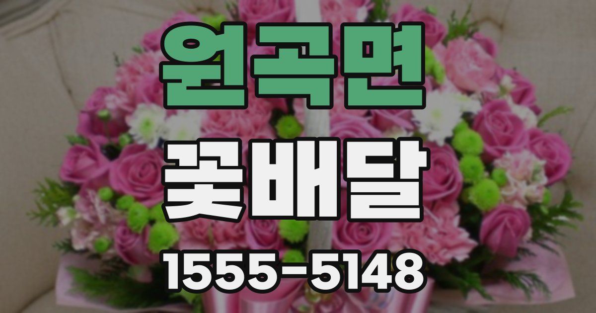 원곡면 꽃배달