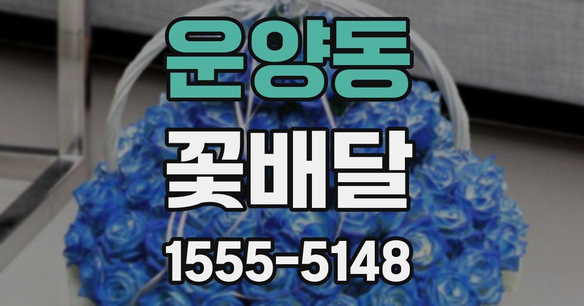 운양동 꽃배달