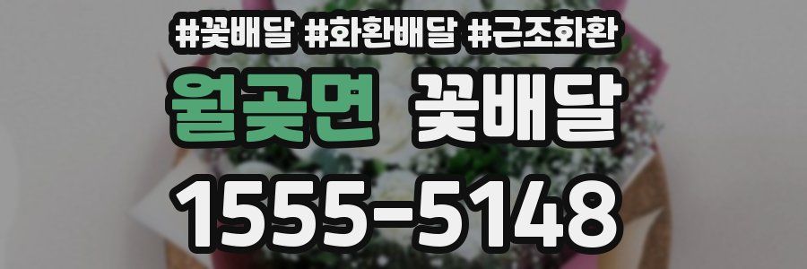 월곶면 꽃배달