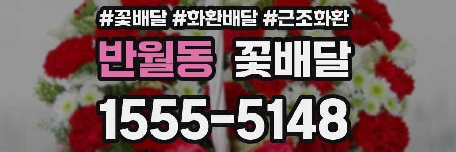 반월동 꽃배달