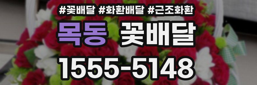 목동 꽃배달