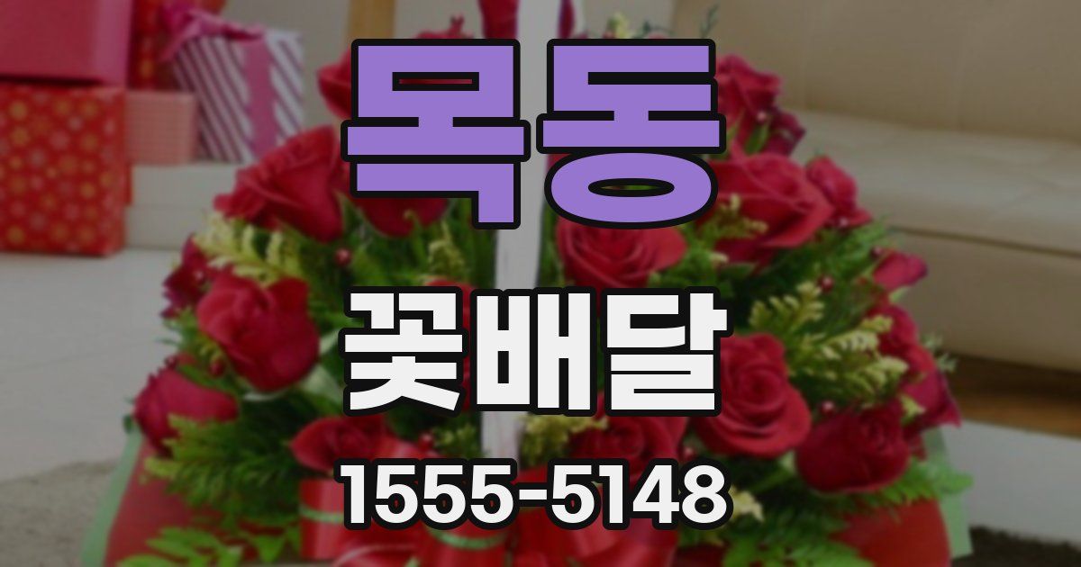 목동 꽃배달