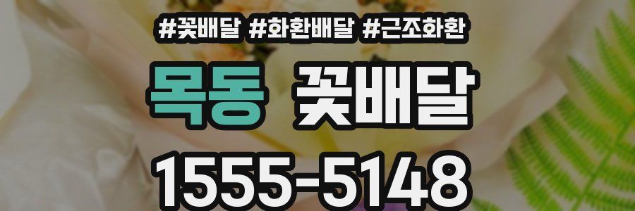 목동 꽃배달