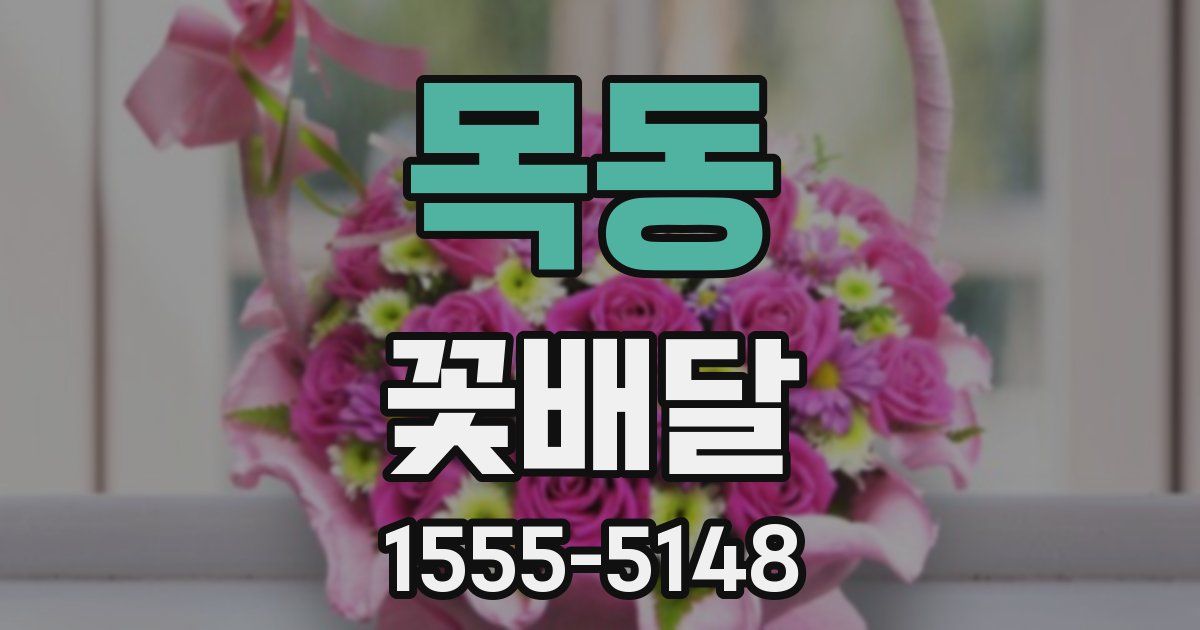 목동 꽃배달