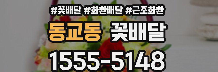 동교동 꽃배달