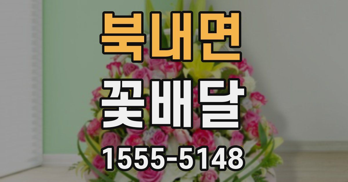 북내면 꽃배달