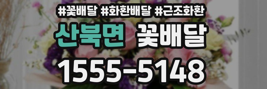 산북면 꽃배달