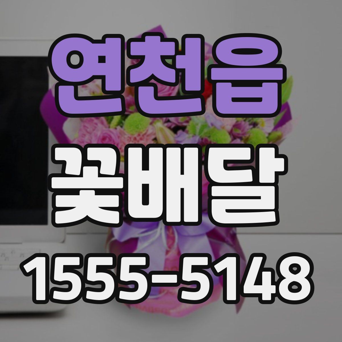 연천읍 꽃배달 실내에 두기 좋은 화분형 구성 살펴보기