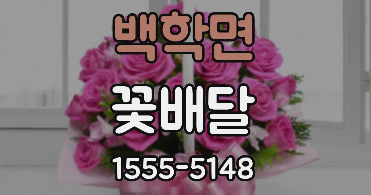 백학면 꽃배달