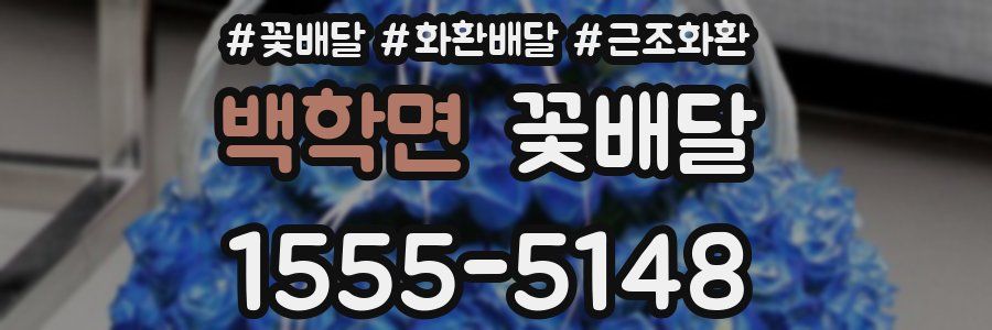 백학면 꽃배달