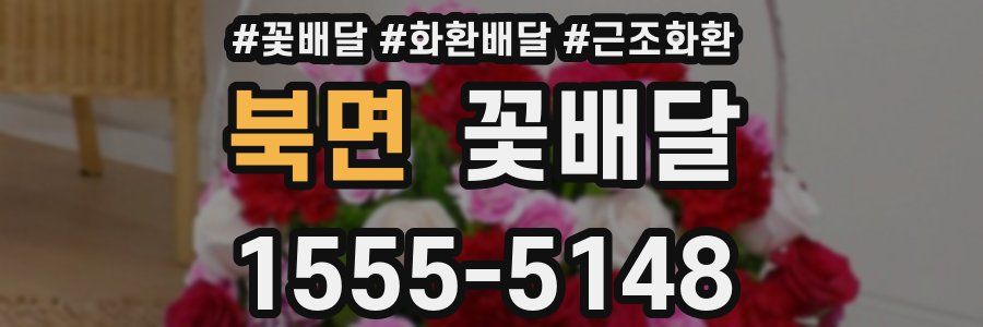 북면 꽃배달