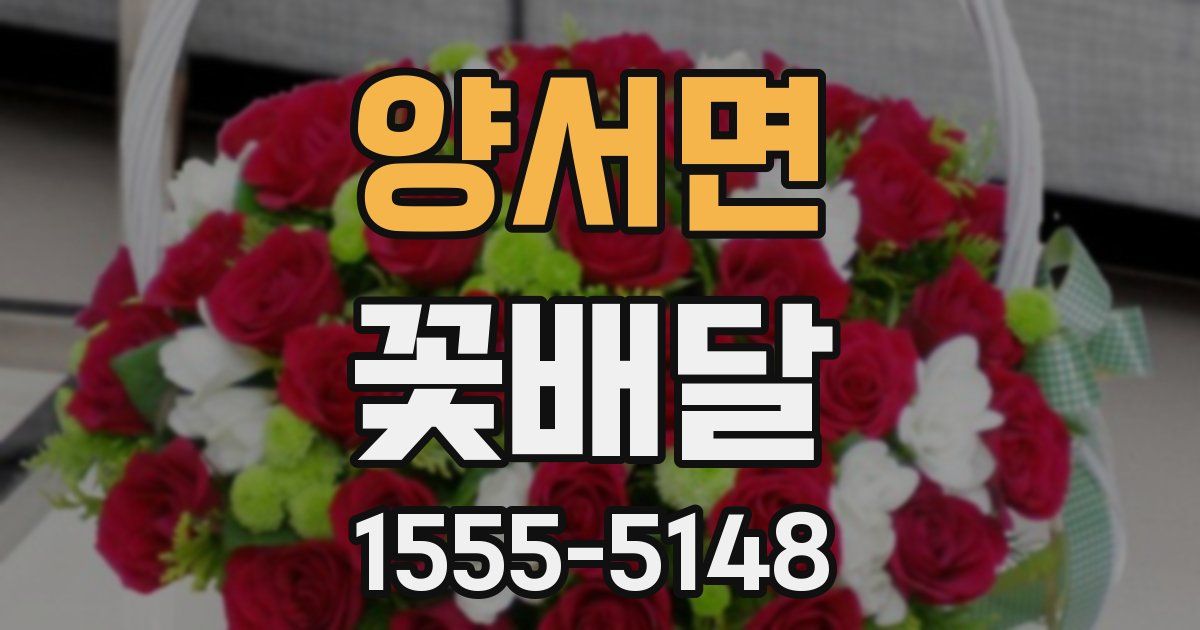 양서면 꽃배달