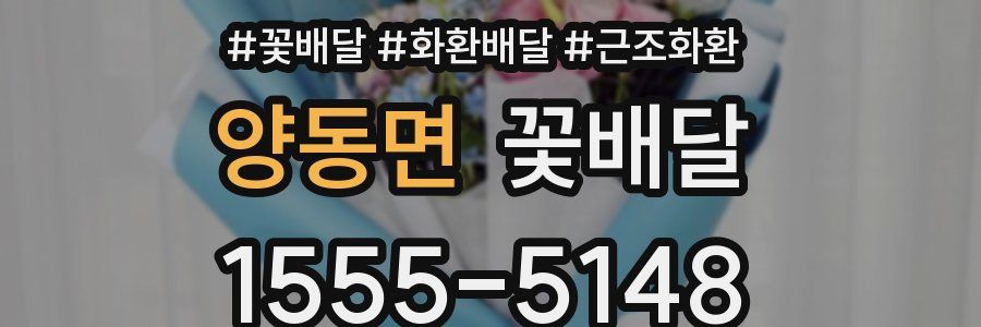 양동면 꽃배달