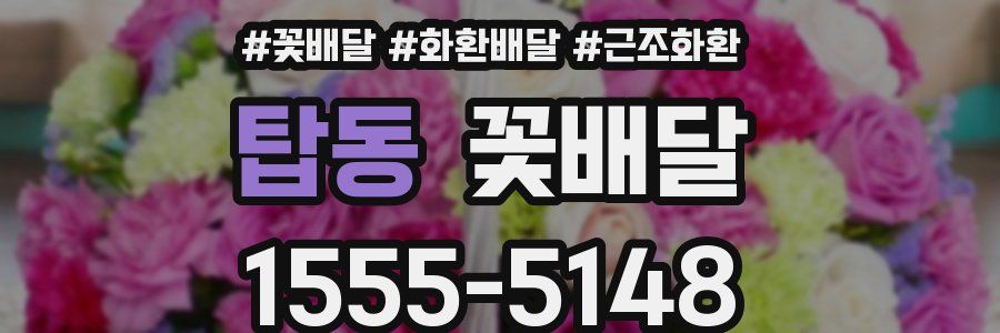 탑동 꽃배달